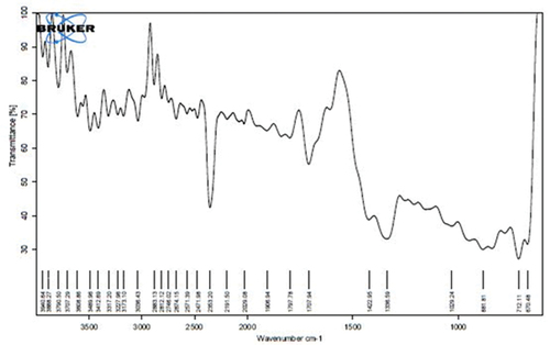 Figure 3. FTIR spectroscopic analysis of silver nanoparticles.