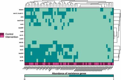 Figure 6. Heatmap and hierarchical clustering according to the abundance of antibiotic resistance genes on the first days of life, at one month and at one year after birth. Timing of antibiotic prophylaxis was selected as covariate for the analysis. Clustering was performed based on the Euclidean distance; dark green represents abundance of the resistance genes and aquamarine the absence.