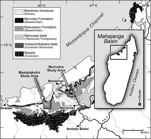 FIGURE 1 Late Cretaceous and Paleocene strata of the Mahajanga Basin, northwestern Madagascar. The Berivotra and Masiakakoho study areas are indicated by rectangular outlines.