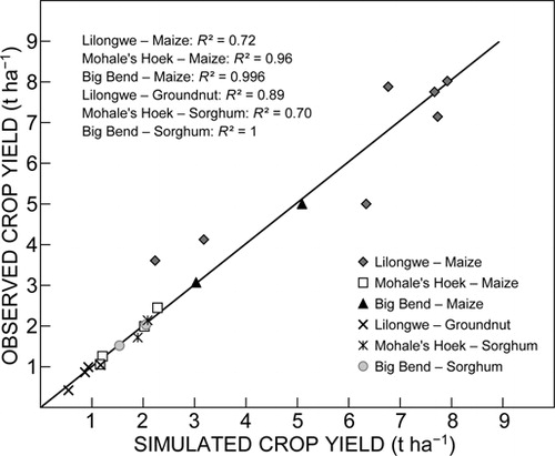 Figure 2: Relationship between observed and simulated crop yields for Lilongwe, Mohale's Hoek and Big Bend. Solid line shows 1:1 relationship
