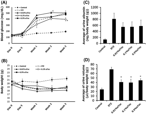 Figure 5. Effects of the oral administration of low-concentration αToc on DN. The blood glucose levels (A) and body weights (B) of the mice in each group were measured before and after STZ administration (day 0 and day 5) and at every week thereafter until 3 weeks. The mean urine albumin amount (C) and urine volume (D) from weeks 1 to 3 are shown. The values are means ± SE. Asterisks show significance compared with STZ group (p < 0.05; Dunnett’s multiple comparison test).
