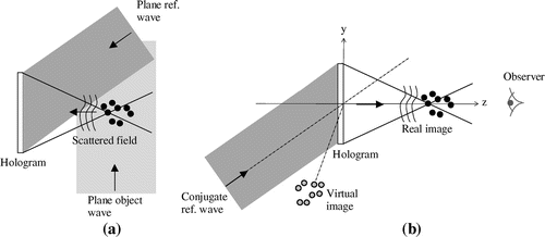 Figure 13. Side-scatter holographic particle (a) recording and (b) reconstruction setups.