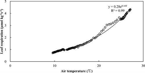 Figure 8. Relationship between leaf respiration rates per leaf biomass and leaf temperature.