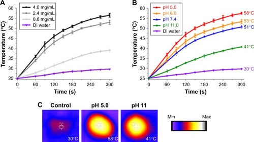 Figure 2 Photothermal property results. Temperature profile (A) at different concentrations of prepared NC and (B) at different pH environments. (C) Photothermal images (temperature value recorded by Thermocouple). The temperature elevated to 25 degree celsius is considered time 0 second.Abbreviations: DI, deionized; NC, nanocomplex.