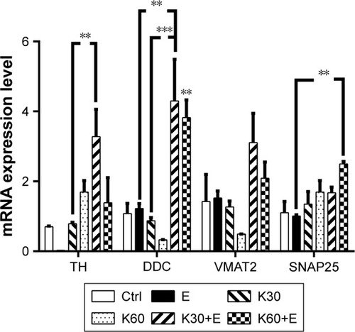 Figure 2 The gene expression levels of TH, DDC, VMAT2, and SNAP25 in the rat’s VTA of three independent brain samples in groups of the saline (Ctrl), 20% ethanol (E), 30 mg/kg ketamine (K30), 60 mg/kg ketamine (K60), 30 mg/kg ketamine with 20% ethanol (K30+E), and 60 mg/kg ketamine with 20% ethanol (K60+E) with three technical replicates of each sample.