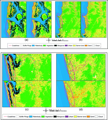 Figure 3.  Six buffer rings within 3000 m from the coastal line on the pre- and post-tsunami classified land cover maps in the four regions: (a) North, (b) Mid, (c) Upper-South, and (d) Lower-South. Note that the left panels in 3(a) and 3(b), and the upper panels in 3(c) and 3(d) represent a portion of the pre-tsunami land cover maps. The right panels in 3(a) and 3(b), and the lower panels in 3(c) and 3(d) represent a portion of the post-tsunami land cover maps.