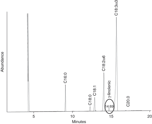 Figure 2 Gas chromatography profile of the saponifiable matter with γ-linolenic acid added as internal standard. The peak at 14.69 min is ascribed to this acid.