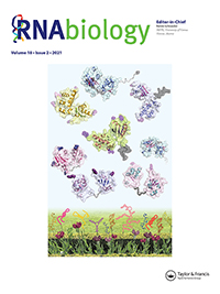 Cover image for RNA Biology, Volume 18, Issue 2, 2021