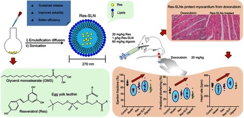 Figure 1 Schematic illustration of the preparation of Res-SLN and its effects against doxorubicin cardiotoxicity.