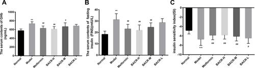 Figure 4 Effect of BACR on GHb (A), FINS (B) and ISI (C) in the serum. Metformin group: 320mg/kg; BACR-H group: 120mg/kg; BACR-M group: 60mg/kg; BACR-L group: 30mg/kg. Data are presented as the mean ± SD (n = 10). **P< 0.01 vs Normal control group. #P < 0.05 or ##P<0.01 vs Model control group.