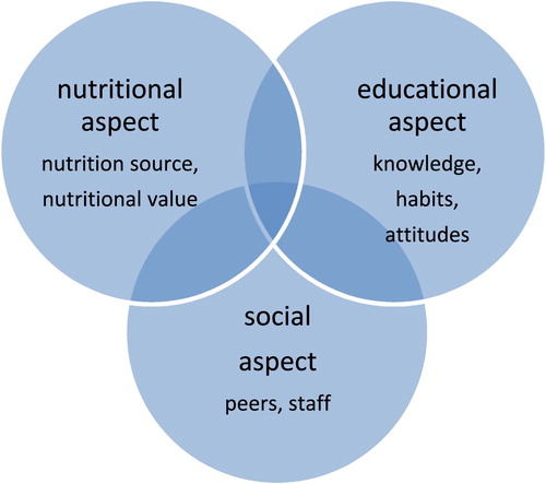 Figure 1. ‘NES’ Analytical framework.