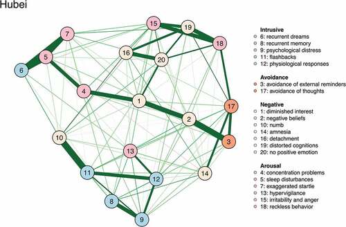 Figure 1. PTSD network for Hubei