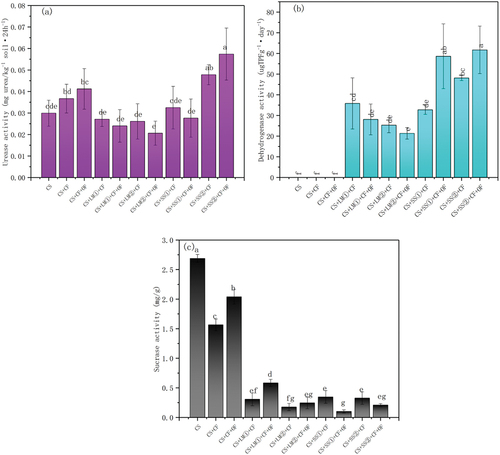 Figure 6. Soil urease, dehydrogenase and sucrase activity after amendment application. Different letters indicated that there were significant differences in the application of amendments (p < 0.05) (single factor analysis of variance (ANOVA)).