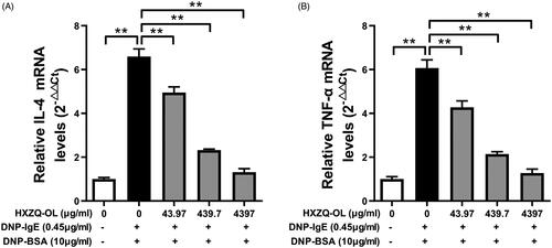 Figure 3. HXZQ-OL reduced the levels of IL-4 mRNA (A) and TNF-α mRNA (B) in IgE/Ag-mediated RBL-2H3 cells. IgE-sensitized RBL-2H3 cells were incubated with HXZQ-OL (43.97, 439.7 and 4397 μg/mL) for 30 min, followed by DNP-BSA challenge for 4 h. The gene expression of IL-4 and TNF-α were measured by RT-qPCR. The data were expressed as the mean ± SD values of three independent experiments. *p < 0.05 and **p < 0.01.