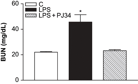 Figure 1. Effect of PJ34 on plasma BUN levels after LPS administration. BUN levels were measured 8 hr after treatment with saline, PJ34, or LPS. All values are expresses as mean ± SEM, n = 7–8. *p < 0.05 as compared with control.