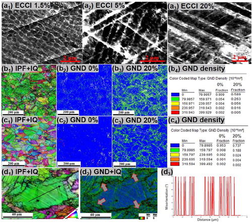 Figure 4. ECCI results of SLMed 316L SS under different deformation levels: (a1) 1.5%, (a2) 5% and (a3) 20%, respectively. EBSD results of the 20% deformed SLMed 316L SS: (b1) IPF + IQ, GND distribution (b2) before and (b3) after deformation, and (b4) related GND density, respectively. EBSD results of the 20% deformed commercial 316L SS: (c1) IPF + IQ, GND distribution (c2) before and (c3) after deformation, and (c4) related GND density, respectively. Enlarged region marked in (b1): (d1) IPF + IQ, (d2) GND + IQ, (d3) misorientation profile along the line in (d1).