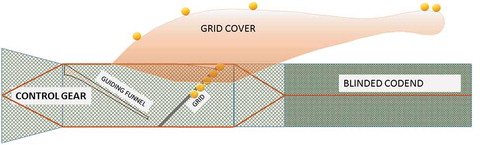 FIGURE 2. Experimental setup for the Nordmøre grid section. A cover was installed over the escape outlet in the upper panel and an inner net was installed in the cod end.