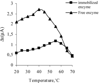 Figure 6 The effect of temperature on free and immobilized enzyme.