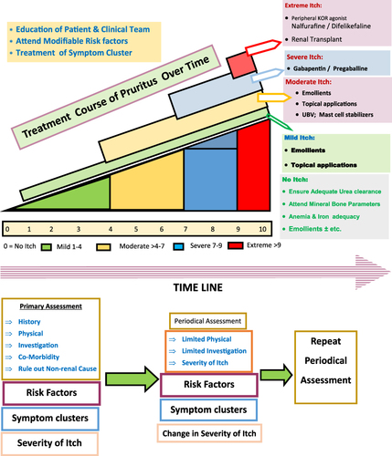 Figure 3 Clinical management of CKD-aP.