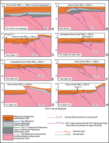 Figure 7 Details of the cross-sections constrained by offshore seismic lines that depict the geometry of the Cape Foulwind Fault. All sections have the same vertical and horizontal scale. For traces of sections and seismic lines, see Figs 2 and 5. Note the change from normal to nearly null separation in the northernmost sections (T01 and T02) to reverse separation southwards. Throw measurements (derived from the 3D model) refer to vertical separation of the TBU, measured on a fault perpendicular plane under the assumption of pure dip-slip. Variations in geometry of the deformed TBU and overlying cover sequence are interpreted in terms of trishear fault propagation folding, as discussed in the text and shown in Fig. 8.