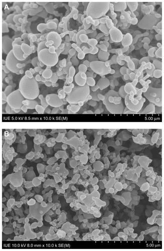 Figure 3 Scanning electron micrograph of MTX-PLLA-PEG-PLLA microspheres from (A) the microencapsulation process and (B) the coprecipitation process.Abbreviation: MTX-PLLA-PEG-PLLA, methotrexate-poly(L-lactide)-poly(ethylene glycol)-poly(L-lactide).