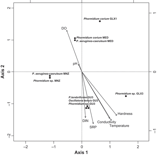 Fig. 27. Canonical correspondence analysis biplot of the general distribution of samples with regard to physico-chemical data. DIN dissolved inorganic nitrogen, SRP soluble reactive phosphorus, DO dissolved oxygen.
