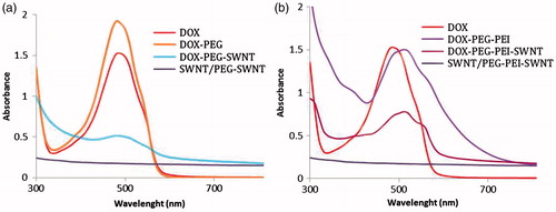 Figure 5. UV–Vis–NIR spectra of doxorubicin containing samples in deionized water, SWNT concentration: 50 μg.ml−1, doxorubicin concentration: 250 μg.ml − 1.