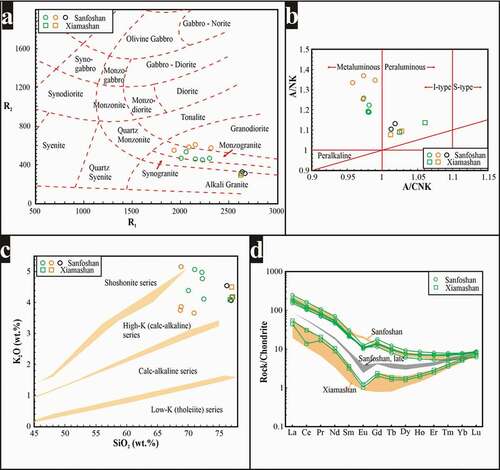 Figure 7. Geochemical diagrams with the data of rock samples analysed in this study (green circles and squares) as well as data from Hu (Citation2006) (orange and black circles, and orange squares). Orange and green circles represent the early phases of the Sanfoshan pluton. Black circles represent the Sanfoshan syenogranite. Orange and green squares represent the Xiamashan samples. (a) R1R2 chemical variation diagram (De la Roche et al., Citation1980), where R1 (in millications) = 4Si - 11(Na + K) - 2(Fe + Ti), and R2 (in millications) = 6Ca + 2Mg + Al, (b) Shand’s index (in Maniar & Piccoli, Citation1989), where A/CNK (molar) = Al2O3/(CaO + Na2O + K2O), and A/NK (molar) = Al2O3/(Na2O + K2O). I–S boundary after Chappell and White (Citation2001), (c) The K2O vs. SiO2 diagram (Rickwood, Citation1989), and (d) Chondrite-normalised rare earth element diagram. Orange and black lines after Hu (Citation2006). Normalising values are from Sun and McDonough (Citation1989)