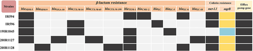 Figure 1 Results of resistance-related mechanisms of 5 carbapenems and colistin co-resistant Escherichia coli strains. The black squares in the figure represent positive results, the pale yellow squares represent no mutation results, and the wathet blue squares represent mutations resistance.