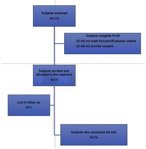 Figure 1 Study flow.