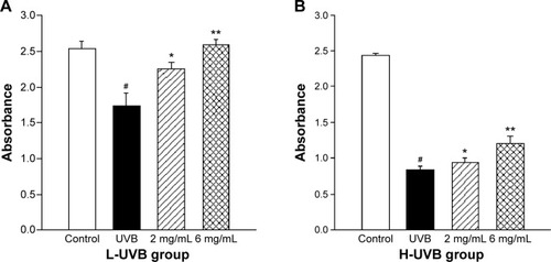 Figure 2 Cell viability assay with Saussurea tridactyla Sch. Bip.-derived flavones in (A) L-UVB group and (B) H-UVB group.