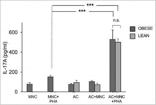 Figure 4. ASC-derived adipocytes from lean donors induce IL-17A secretion in MNC-adipocytes co-cultures. ASC from obese (dark gray bars) or lean (light gray bars) donors were differentiated for 8 d. Cell culture supernatants of MNC co-cultured or not with differentiated adipocytes were activated by PHA or not, and analyzed by ELISA for the secretion of IL-17A. Co-cultures were in a 1:5 ratio (20,000 ASC/adipocytes for 100,000 MNC). Error bars represent standard deviations from n ≥ 3 independent experiments. ***p < 0.001; as tested by one-way ANOVA followed by Bonferroni's multiple comparison test. n.s not statistically significant.