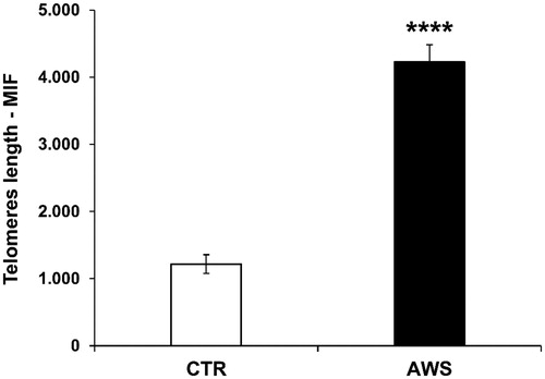 Figure 4. Effect of AWS on length of telomeres in bone marrow cells from C57BL/6J female mice. The analysis of telomeres length mouse was performed on nucleated haematopoietic cells from bone marrow by a fluorescein-conjugated peptide nucleic acid (PNA) probe kit. Cells were obtained from both CTR and AWS groups immediately after the sacrifice. Results are obtained by flow cytometry with excitation at 488 nm. Data are expressed as mean ± SE of mean intensity fluorescence (M.I.F.) normalised on total cells. ****p < 0.0001.