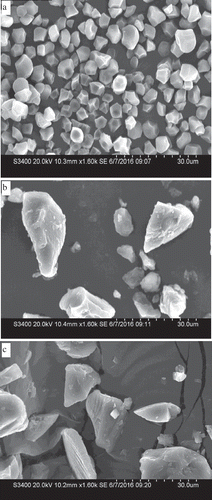 Figure 3. SEM of RS, DRS, and ADRS.
