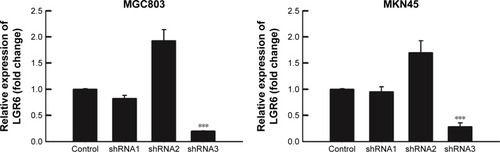Figure 1 The gene silencing efficiencies of three shRNA constructs.