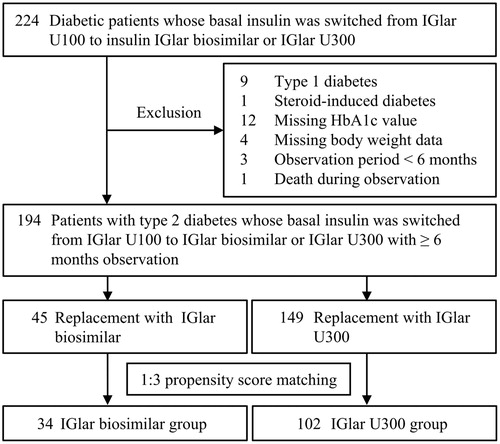 Figure 1. Flowchart of patient selection. IGlar: insulin glargine, U100: 100 U/mL, and U300: 300 U/mL.