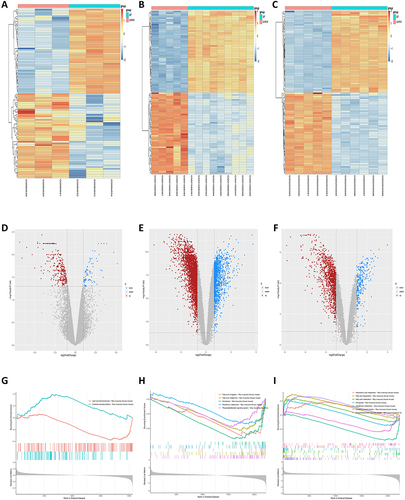 Figure 1 DEGs and pathways analysis of the three AP-related datasets (GSE3644, GSE65146, GSE109227) associated with ferroptosis. (A–C) Heatmaps of the respective DEGs of GSE3644, GSE65146 and GSE109227. (D–F) Volcano plots of each of the three datasets. (G–I) GSEA analysis of the gene pathways associated with ferroptosis for each of the three datasets.