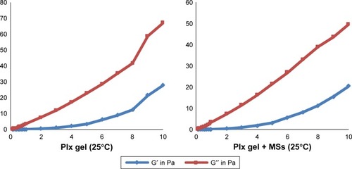 Figure 3 Frequency-dependent changes of the viscoelastic properties of Chi versus Plx gels at 25°C and 37°C±0.1°C (n=6).Notes: Frequency (Hz) on x-axis; moduli G′; G″ (Pa) on y-axis.Abbreviations: Chi, chitosan; Plx, poloxamer; MSs, microspheres.