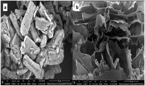 Figure 5. Scanning electron microscope of (a) free SM and (b) optimized F7 FMT containing SM.