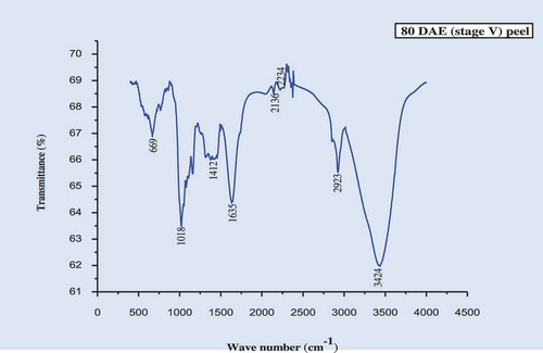 FIGURE 3e FT-IR spectra of culinary banana peel at 80 DAE (stage V).