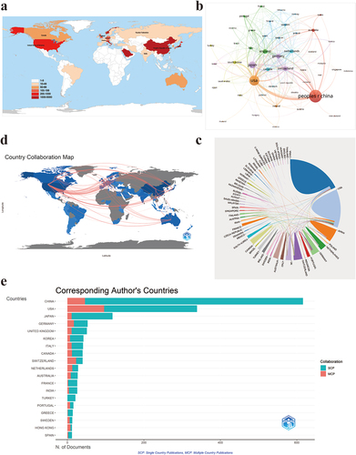 Figure 4. Country/Regions analysis on immune cells in disc degeneration. (a) world map of the number of publications issued by country/regions. Darker colors indicate a higher volume of publications by country/regions. (b) the country/regions cooperation network graph in WOSCC. The size of the nodes indicates the number of country publications, the thickness of the connections between the nodes reflects the strength of cooperation between the countries, and the color of the nodes corresponds to the clustering of the different countries, with nodes of the same color belonging to the same cluster. (c) chord diagram of inter country/regions cooperation network in WOSCC. The size of the color block in front of each country region indicates the number of publications in that country. Links between countries indicate a partnership, with thicker lines indicating closer cooperation between countries. (d) world map of inter country/regions cooperation network in Scopus. The stronger the line, the closer the cooperation between countries. (e) histogram of corresponding author’s country. SCP: single country publication, MCP: multiple country publication.