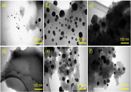 Figure 4. TEM micrographs of 6 samples at representative magnification of x10, 000. (a) PP-CuO-1, (b) PP-CuO-2, (c) PP-CuO-3, (d) GL-CuO-1, (e) GL-CuO-2, and (f) GL-CuO-3. All scale bars are 2 µm.