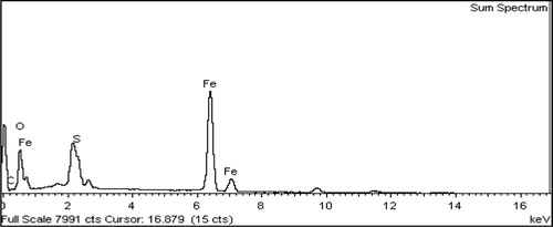 Figure 3. EDX analysis of Fe3O4@PEO-SO3H nanocatalyst.