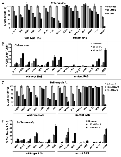 Figure 2. Neither RAS status nor TP53 status correlates with sensitivity to autophagy inhibition in NSCLC lung cell lines. (A–D) Multiple NSCLC cancer cell lines with wild-type or oncogenic RAS status as designated were treated with the indicated doses of (A and B) CQ or (C and D) BafA1 and then assayed by (A and C) MTS viability assay (72 h) or (B and D) LDH release cytotoxicity assay (72 h). *H1299 has an oncogenic mutation in NRAS instead of KRAS.