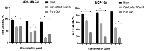 Figure 9 Cell viability analysis by MTT assay outcomes of MDA-MB-231 and MCF-10A cells after treatment with CsA and CsA-NF (mean + SD, *p ≤ 0.05).