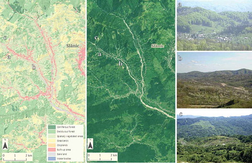 Figure 9. SVM classification for Subcarpathian area, validated with orthophotos (2012) and field observations: (a) built-up area with pasture and forest, (b) sparse vegetation including fruit trees (plum and apple trees) and dispersed trees (acacia, hornbeam and willow), (c) sparse vegetation (shrubs) with pastures and bare lands.