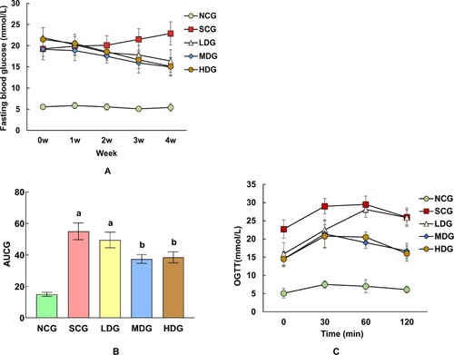 Figure 2. Effect of banana starch diet on fasting blood glucose (FBG) of normal control group of non-diabetic rats (NCG), standard chow (SCG), and low (LDG), middle (MDG), and high dose (HDG) of banana starch intervention diabetic rats. (A) FBG levels in each rat group during 4 weeks of experiments; (B) The area under the FBG curve for each group; (C) The oral glucose tolerance test results of each group within a period of 120 min experiments.