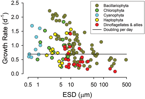 Fig. 5. Maximum growth rates for phototrophic plankton of different sizes. Many of the dinoflagellates and haptophytes are known, or are prospective, mixoplankton (cf. the mixoplankton database, Mitra et al., Citation2023). Note the great variety in growth rate potential within a given size range. The horizontal line indicates growth at 0.693 day–1 (a doubling per day) as an exemplar of rates expected of cells with division cycles synchronized to the diel light-dark cycle (Nelson & Brand, Citation1979). Source data from Finkel et al. (Citation2010).