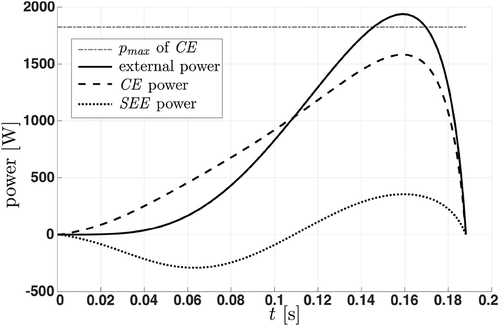 Figure 7. Power–time plot of a simulated leg extension. The horizontal line (pmax of CE) indicates the maximum power of the contractile element. Initially, the serial elastic element (SEE, dotted line) stores energy and returns it towards the end of the movement. Thus, it is possible that the external power (solid line) exceeds the power of the contractile element (CE, dashed line). Note that due to the influences of the force–length relation and the activation function, the power of the contractile element does not reach its maximum value pmax.
