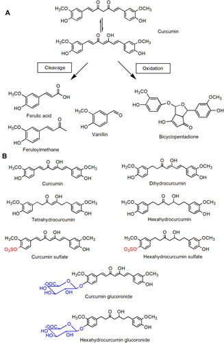 Figure 4 Chemical structure of curcumin-related products. (A) Curcumin degradation products; (B) curcumin metabolites.